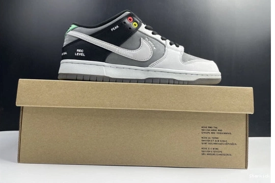VX1000 CV1659-001 Dunk Low SB Nike 1228